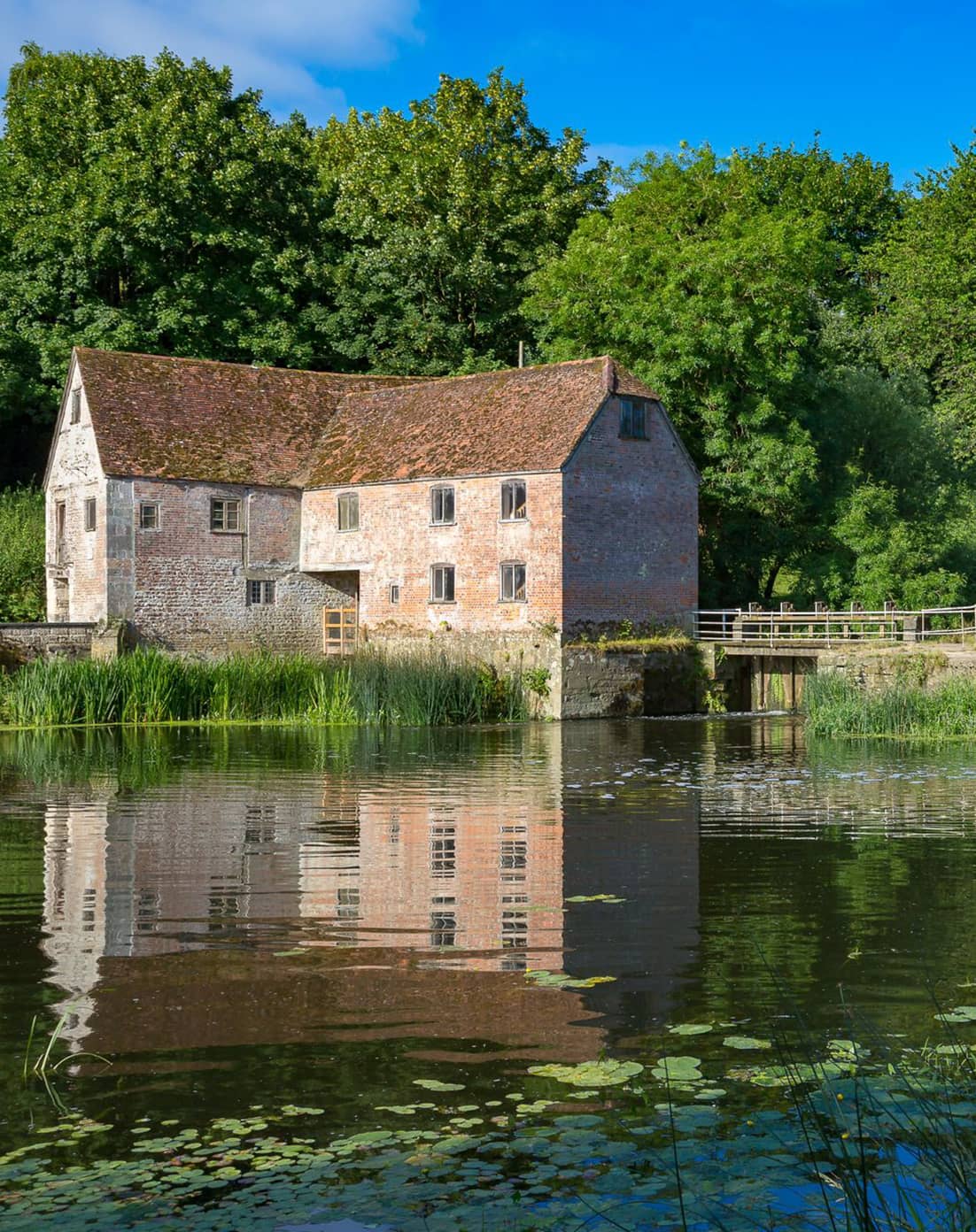 Chaffers, Estate Agents, North Dorset, Buy, Sell, Landlords, Tenants, Lettings Selling, Mortgage, Survey, Valuation, House, Property