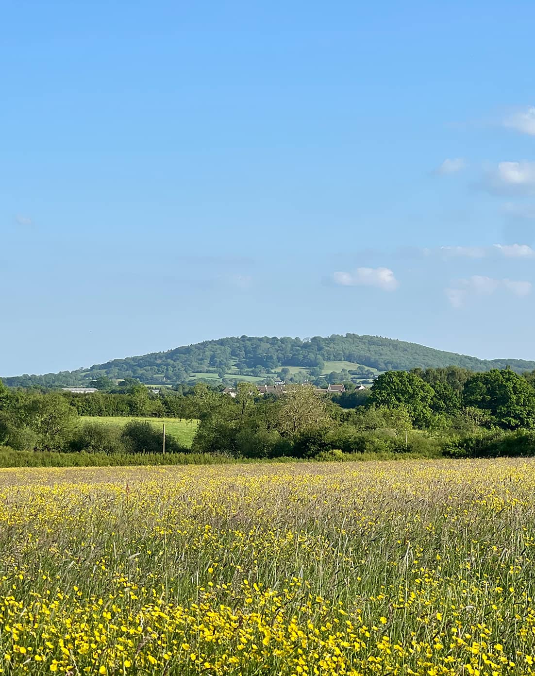 Chaffers, Estate Agents, North Dorset, Buy, Sell, Landlords, Tenants, Lettings Selling, Mortgage, Survey, Valuation, House, Property